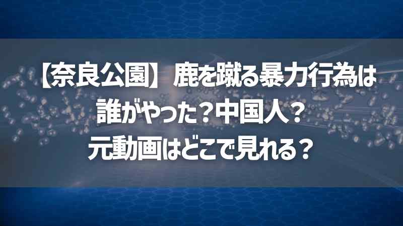 【奈良公園】鹿を蹴る暴力行為は誰がやった？中国人？元動画はどこで見れる？