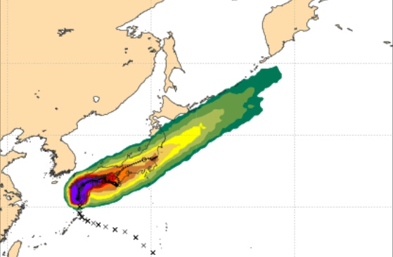 ECMWF08291600